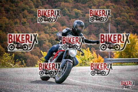 Forca d Acero 19-10-25 h13-20 2434