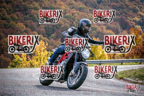 Forca d Acero 19-10-25 h13-20 2435