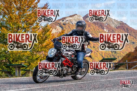 Forca d Acero 19-10-25 h13-20 2436