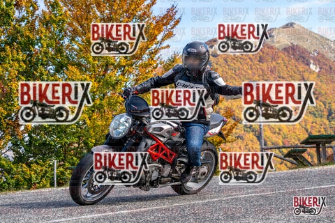 Forca d Acero 19-10-25 h13-20 2437