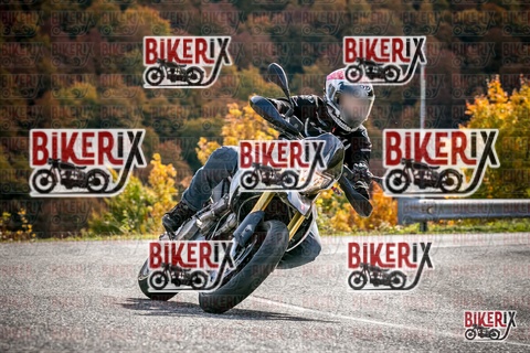 Forca d Acero 19-10-25 h13-20 2440