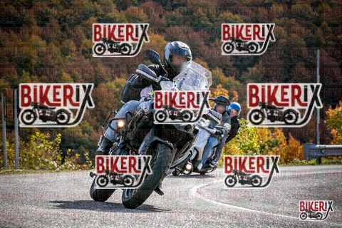 Forca d Acero 19-10-25 h13-20 2445