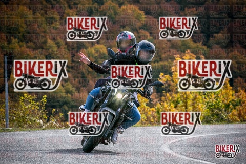 Forca d Acero 19-10-25 h13-21 2454