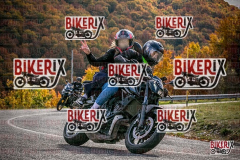 Forca d Acero 19-10-25 h13-21 2457