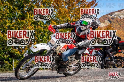 Forca d Acero 19-10-25 h13-21 2469