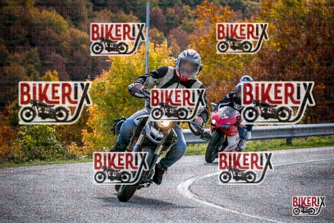 Forca d Acero 19-10-25 h13-22 2476