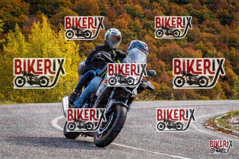 Forca d Acero 19-10-25 h13-22 2493