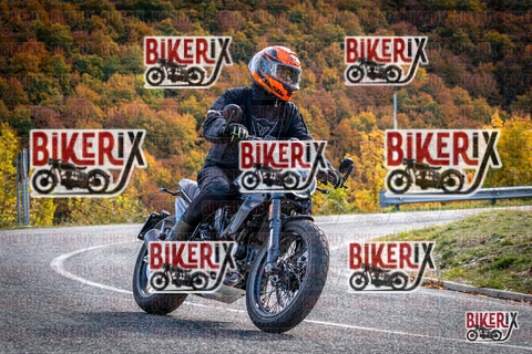 Forca d Acero 19-10-25 h13-25 2532