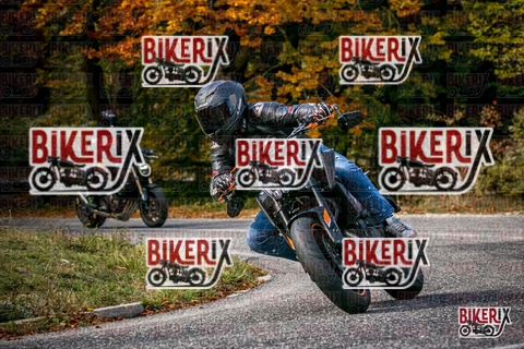 Forca d Acero 19-10-25 h13-25 2536