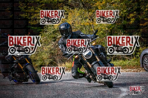 Forca d Acero 19-10-25 h13-25 2537