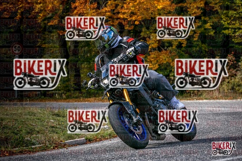 Forca d Acero 19-10-25 h13-25 2539