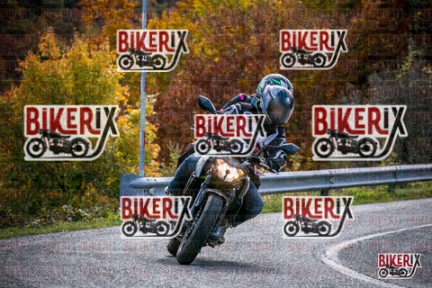 Forca d Acero 19-10-25 h13-26 2543