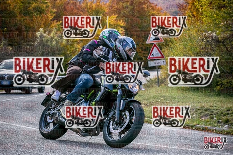 Forca d Acero 19-10-25 h13-26 2546