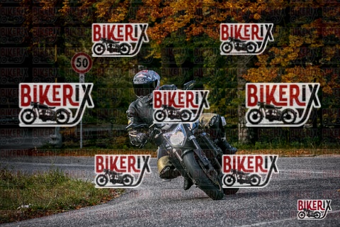 Forca d Acero 19-10-25 h13-27 2554