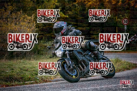 Forca d Acero 19-10-25 h13-27 2556