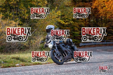 Forca d Acero 19-10-25 h13-27 2560