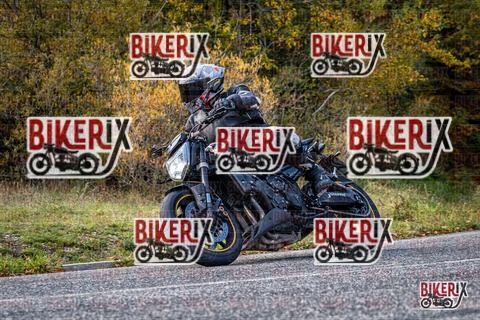 Forca d Acero 19-10-25 h13-27 2562