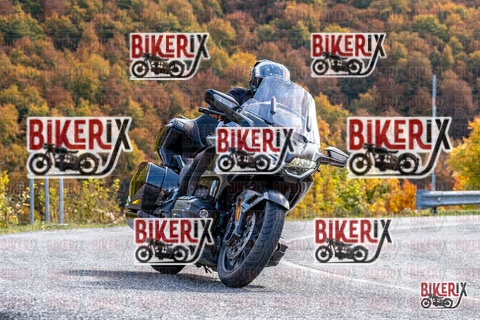 Forca d Acero 19-10-25 h13-30 2600