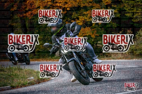 Forca d Acero 19-10-25 h13-31 2633