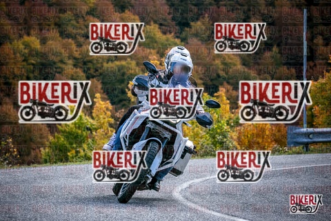 Forca d Acero 19-10-25 h13-35 2666