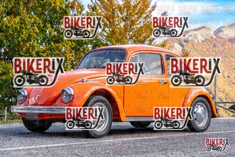 Forca d Acero 19-10-25 h13-36 2681