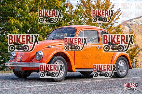 Forca d Acero 19-10-25 h13-36 2682