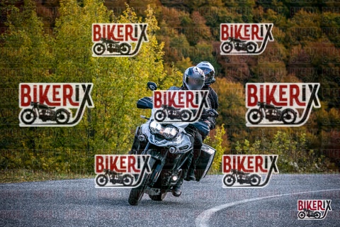 Forca d Acero 19-10-25 h13-38 2683