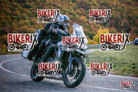 Forca d Acero 19-10-25 h13-38 2686