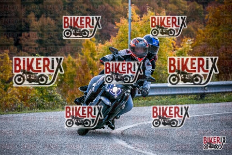 Forca d Acero 19-10-25 h13-38 2689