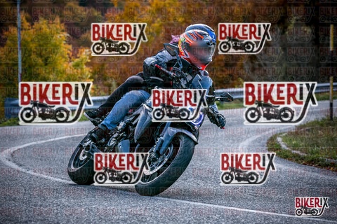 Forca d Acero 19-10-25 h13-38 2690