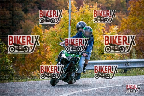 Forca d Acero 19-10-25 h13-38 2691