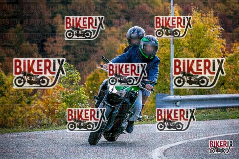 Forca d Acero 19-10-25 h13-38 2692