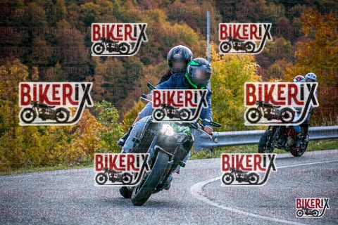 Forca d Acero 19-10-25 h13-38 2693