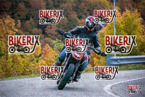 Forca d Acero 19-10-25 h13-38 2695