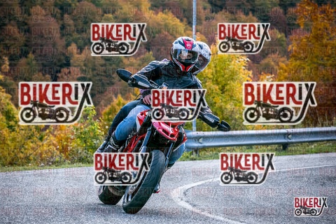 Forca d Acero 19-10-25 h13-38 2696