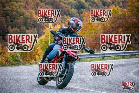 Forca d Acero 19-10-25 h13-38 2697