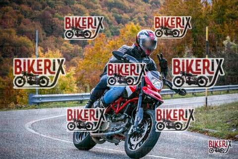 Forca d Acero 19-10-25 h13-38 2698