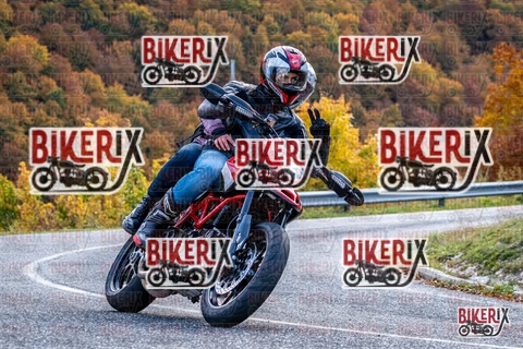 Forca d Acero 19-10-25 h13-39 2714