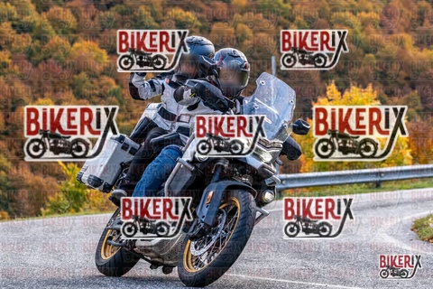 Forca d Acero 19-10-25 h13-39 2717