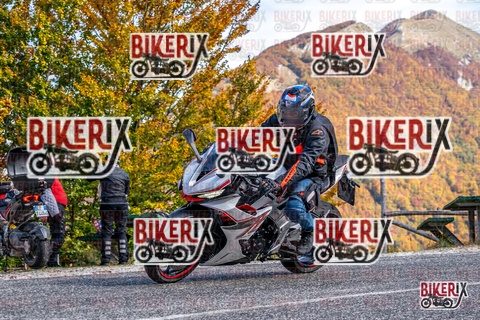 Forca d Acero 19-10-25 h13-44 2800