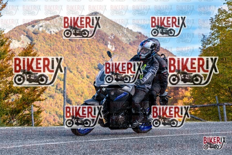 Forca d Acero 19-10-25 h13-46 2898