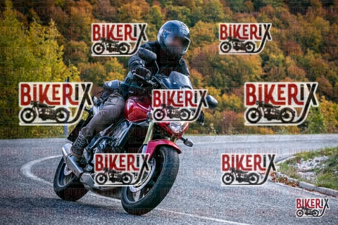 Forca d Acero 19-10-25 h13-46 2901