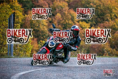 Forca d Acero 19-10-25 h13-48 2920