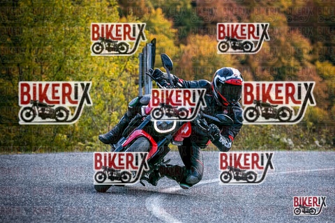 Forca d Acero 19-10-25 h13-48 2921