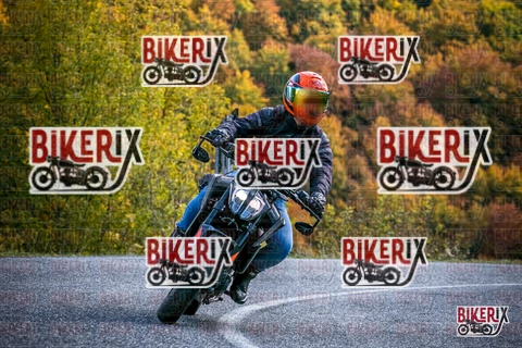 Forca d Acero 19-10-25 h13-48 2924