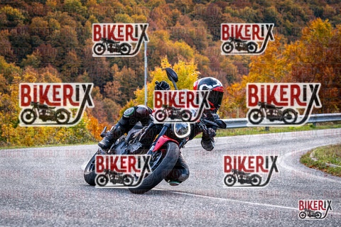 Forca d Acero 19-10-25 h13-48 2932