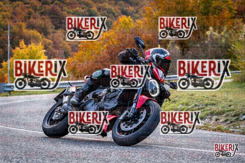 Forca d Acero 19-10-25 h13-48 2934