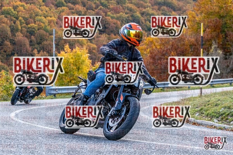 Forca d Acero 19-10-25 h13-48 2935