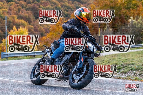 Forca d Acero 19-10-25 h13-48 2936