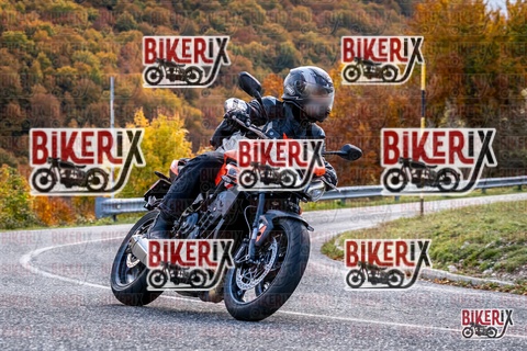 Forca d Acero 19-10-25 h13-48 2938